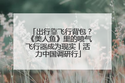 出行靠飞行背包？《美人鱼》里的喷气飞行器成为现实丨活力中国调研行