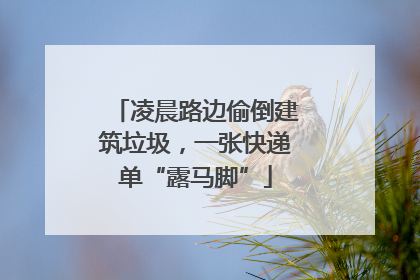 凌晨路边偷倒建筑垃圾，一张快递单“露马脚”