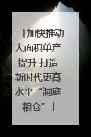 加快推动大面积单产提升 打造新时代更高水平“洞庭粮仓”