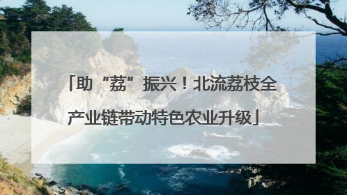 助“荔”振兴！北流荔枝全产业链带动特色农业升级
