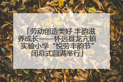 劳动创造美好 丰韵滋养成长——怀远县龙亢镇实验小学“悦劳丰韵节”闭幕式圆满举行