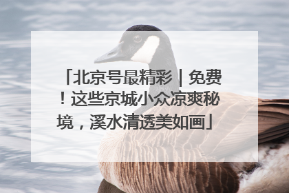 北京号最精彩｜免费！这些京城小众凉爽秘境，溪水清透美如画