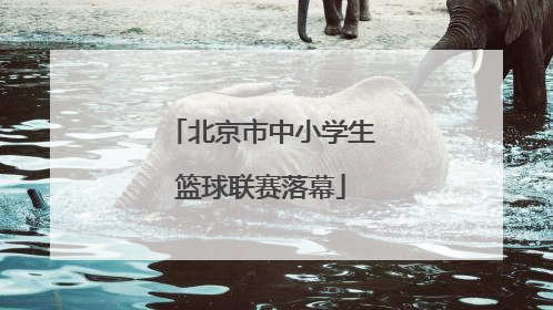北京市中小学生篮球联赛落幕