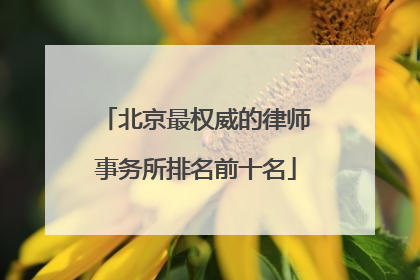 北京最权威的律师事务所排名前十名