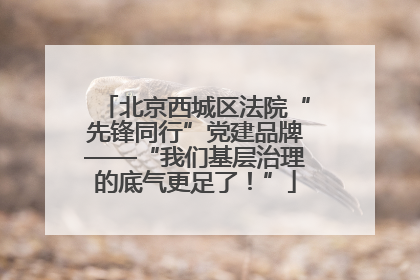 北京西城区法院“先锋同行”党建品牌——“我们基层治理的底气更足了！”