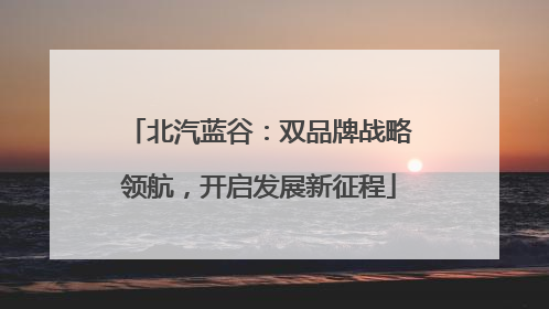北汽蓝谷：双品牌战略领航，开启发展新征程