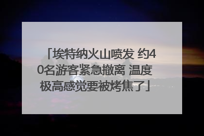 埃特纳火山喷发 约40名游客紧急撤离 温度极高感觉要被烤焦了