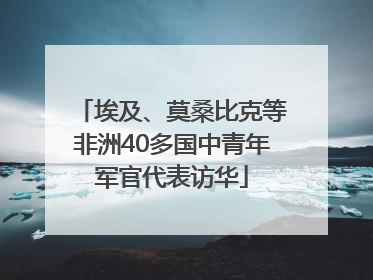 埃及、莫桑比克等非洲40多国中青年军官代表访华