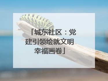 城东社区：党建引领绘就文明幸福画卷