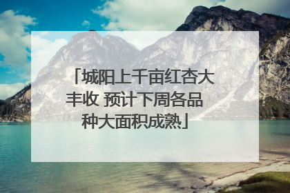 城阳上千亩红杏大丰收 预计下周各品种大面积成熟