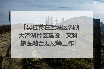吴桂英在望城区调研大泽湖片区建设、文科旅医融合发展等工作