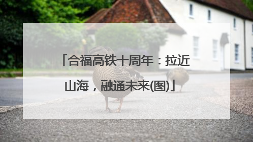 合福高铁十周年：拉近山海，融通未来(图)