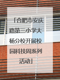 合肥市安庆路第三小学大杨分校开展校园科技周系列活动