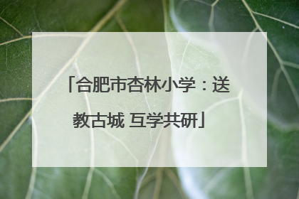 合肥市杏林小学：送教古城 互学共研