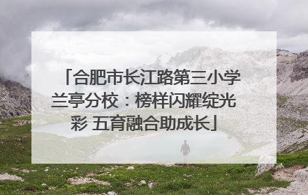 合肥市长江路第三小学兰亭分校：榜样闪耀绽光彩 五育融合助成长