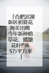 合肥滨湖新区初夏花海美出圈 今年新种植草花、播撒花籽约6.5万平方米