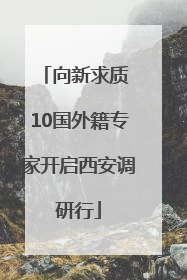 向新求质 10国外籍专家开启西安调研行