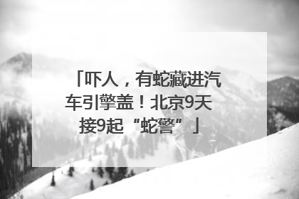 吓人，有蛇藏进汽车引擎盖！北京9天接9起“蛇警”
