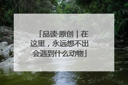 品读·原创｜在这里，永远想不出会遇到什么动物