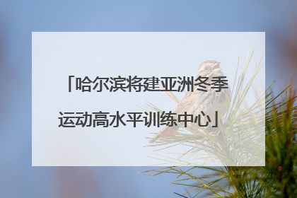 哈尔滨将建亚洲冬季运动高水平训练中心