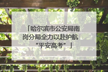 哈尔滨市公安局南岗分局全力以赴护航“平安高考”