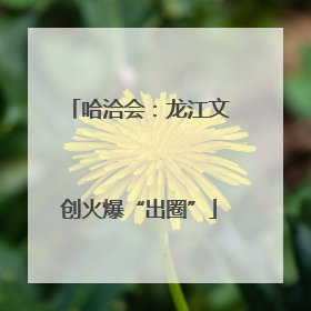 哈洽会：龙江文创火爆“出圈”
