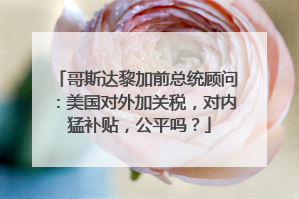 哥斯达黎加前总统顾问：美国对外加关税，对内猛补贴，公平吗？