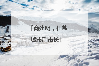 商建明，任盐城市副市长