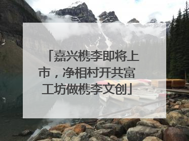 嘉兴槜李即将上市，净相村开共富工坊做槜李文创