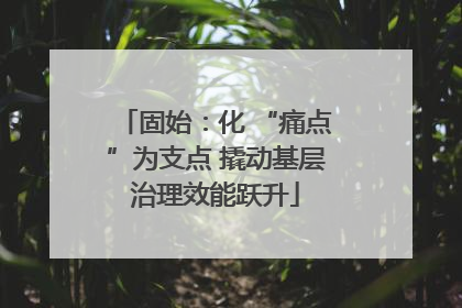 固始：化 “痛点”为支点 撬动基层治理效能跃升