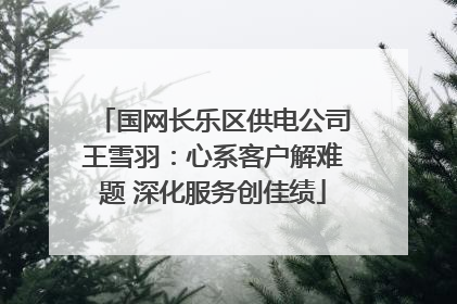 国网长乐区供电公司王雪羽：心系客户解难题 深化服务创佳绩