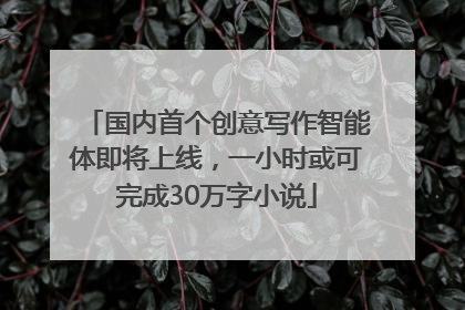 国内首个创意写作智能体即将上线，一小时或可完成30万字小说