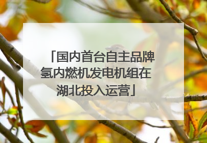 国内首台自主品牌氢内燃机发电机组在湖北投入运营