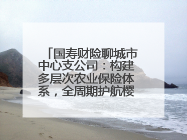 国寿财险聊城市中心支公司：构建多层次农业保险体系，全周期护航樱桃产业发展