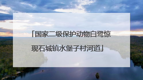国家二级保护动物白鹭惊现石城镇水堡子村河道