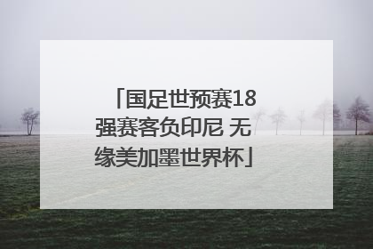 国足世预赛18强赛客负印尼 无缘美加墨世界杯
