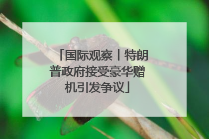 国际观察丨特朗普政府接受豪华赠机引发争议