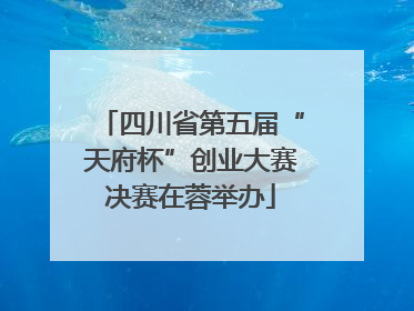 四川省第五届“天府杯”创业大赛决赛在蓉举办
