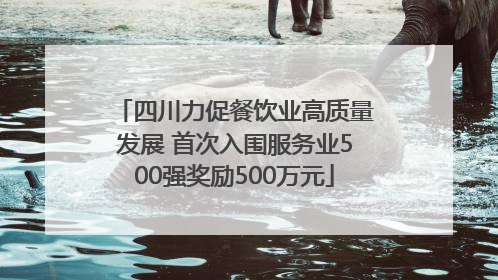 四川力促餐饮业高质量发展 首次入围服务业500强奖励500万元