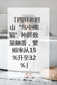 四川老君山“鸟中熊猫”种群数量翻番，繁殖率从15%升至32%