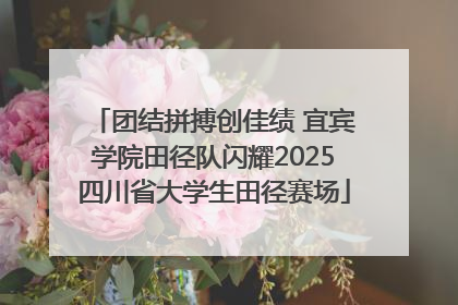 团结拼搏创佳绩 宜宾学院田径队闪耀2025四川省大学生田径赛场