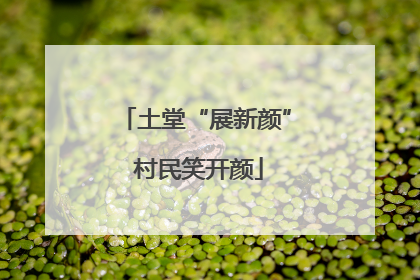 土堂“展新颜” 村民笑开颜