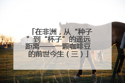 在非洲，从“种子”到“杯子”的遥远距离——一颗咖啡豆的前世今生（三）