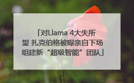 对Llama 4大失所望 扎克伯格被曝亲自下场组建新“超级智能”团队