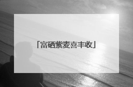 富硒紫麦喜丰收