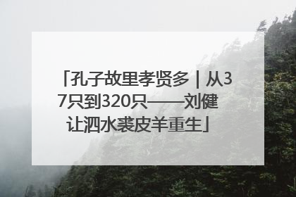 孔子故里孝贤多｜从37只到320只——刘健让泗水裘皮羊重生