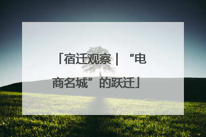宿迁观察｜“电商名城”的跃迁