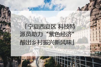宁夏西夏区 科技特派员助力“紫色经济”酿出乡村振兴新风味