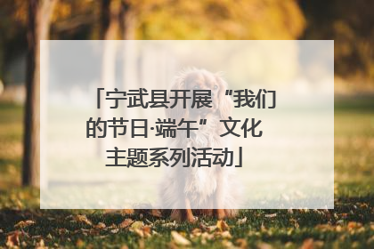 宁武县开展“我们的节日·端午”文化主题系列活动