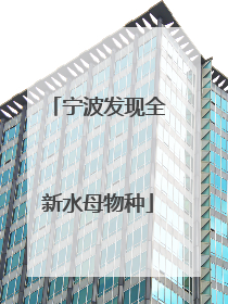宁波发现全新水母物种